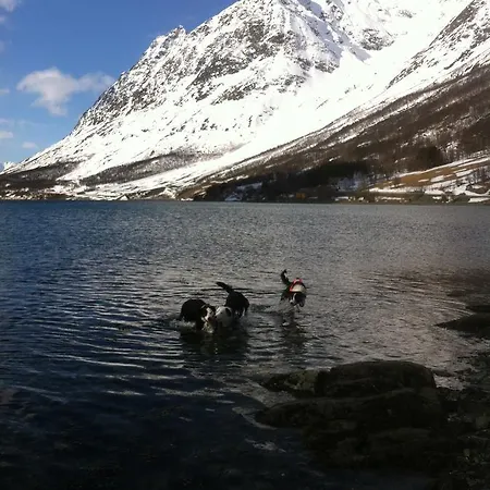 Kjelkebakken Gard Farm stay *