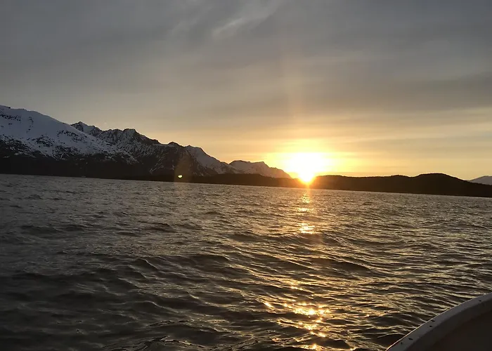 Kjelkebakken Gard * Lyngseidet